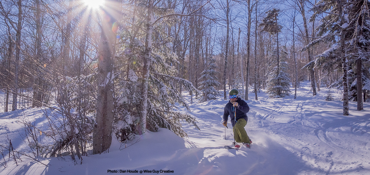 Backcountry glade skiing at Bretton Woods